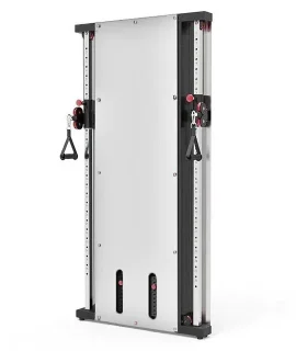 Wall-Mounted Functional Trainer - Double Stack