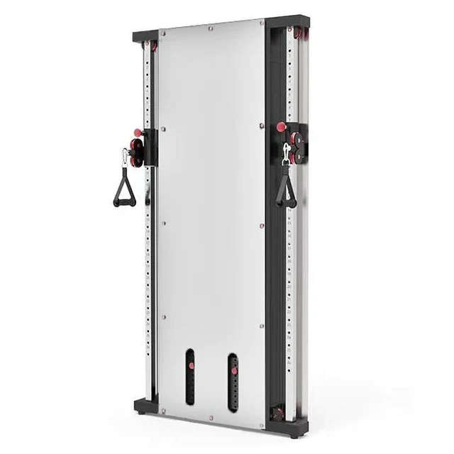 Wall-Mounted Functional Trainer - Double Stack